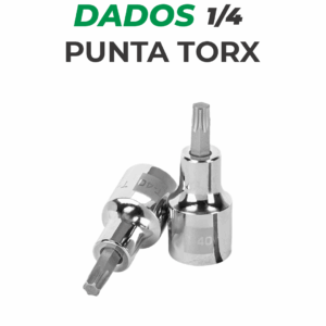 Dados punta torx 1/4