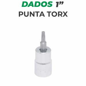 Dados punta torx 1"