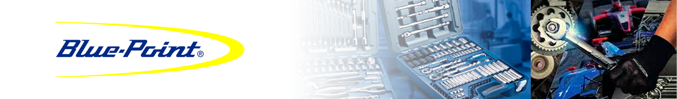 Banner Blue Point